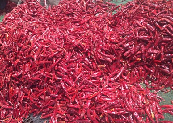 100% Pure Dried Arbol Pepper 70mm Tien Tsin Sun Dried Red Peppers