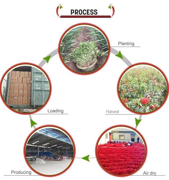 China Neihuang Xinglong Agricultural Products Co. Ltd company profile