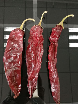 XingLong Dried Paprika Peppers 16CM Dehydrated Red Chili Pods