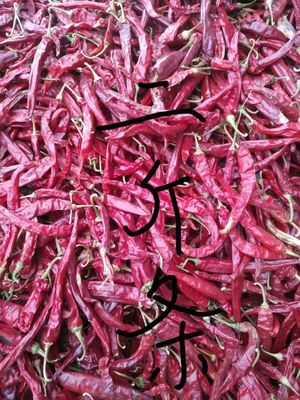 Stemless Erjingtiao Dried Chilis Sterilized Whole Chillies Pungent