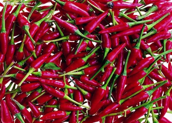 Dehydrated Red Bullet Chilli Pods Cayenne Pepper 25000SHU Without Stem