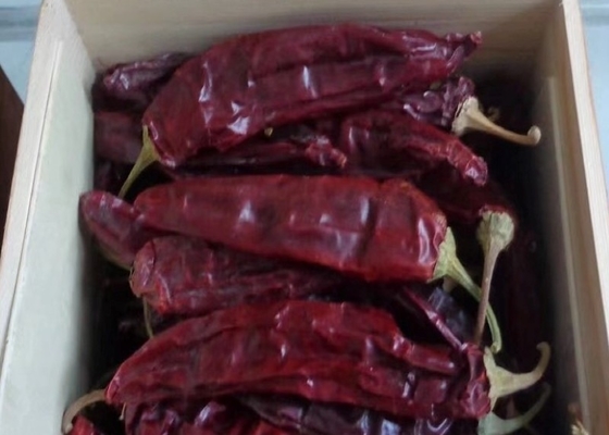 New Crop 220 ASTA Paprika Sweet Red Pepper Pungent Guajillo Chili Peppers 12-18 Cm